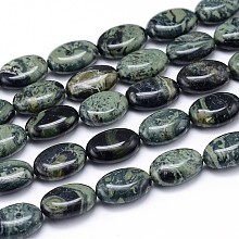 Honeyhandy Natural Kambaba Jasper Beads Strands, Flat Oval, 14x10x6mm, Hole: 1mm, about 29pcs/strand, 15.7 inch