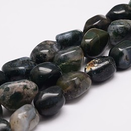 Honeyhandy Natural Moss Agate Bead Strands, Tumbled Stone, Nuggets, 18~25x16~18x12~16mm, Hole: 2mm, about 22~25pcs/strand, 15.75 inch