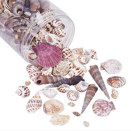 PH PandaHall 320g Beach Sea Shells, 6 Kinds Mixed Ocean Spiral Conch Seashells Charms for Home Decorations, Beach Theme Party, Candle Making, Wedding Decor, DIY Crafts and Vase Filler