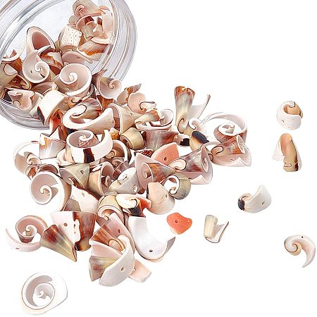 NBEADS About 100 Pcs Shell Nuggets Beads, Seashell Beads Seashell Charms for DIY Necklace Bracelet Earring Making