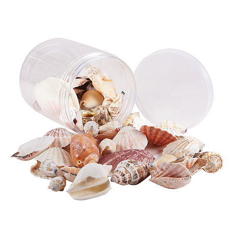 PandaHall Elite About 45pcs Sea Shells Conch Fashion Mixed Beach Seashells for DIY Jewelry Craft Home Decoration, Beach Theme Party Wedding Decor, Fish Tank and Vase Fillers