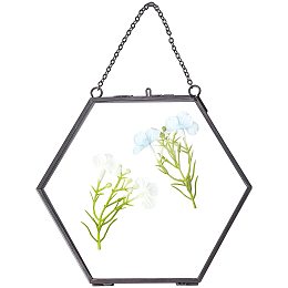 FINGERINSPIRE Hanging Glass Frame Brass Hexagon Wall Frames (6x6 Inches/13x14cm) for Display Pressed Plant Specimen Dried Flowers DIY Artwork Photo Picture Herbarium,Black