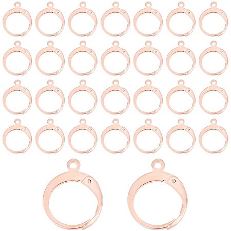 DICOSMETIC 30Pcs Stainless Steel Rose Gold Leverback Earring Round French Hook Ear Wire with Open Loop Hypoallergenic Leverback Earring for DIY Jewelry Making Craft