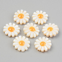 Honeyhandy Natural Freshwater Shell Chandelier Charms, Flower, Seashell Color, 12.5x4.5mm, Hole: 1mm