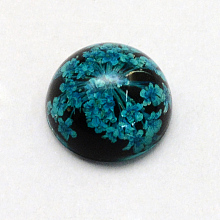 Honeyhandy Resin Cabochons, Dome, Half Round, with Dried Flower inside, Teal, 11.5~12x6~6.5mm