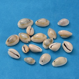 Honeyhandy Natural Cowrie Shell Beads, Dyed, Seashell Color, Size: about 13~16mm long, 10~11mm wide, 7~9mm thick, hole: 2mm
