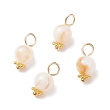 Honeyhandy Natural Freshwater Shell Charms, with Golden Tone Alloy & Brass Findings, Round, Old Lace, 12.5x6mm, Hole: 3mm