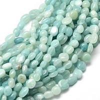 Arricraft Natural Amazonite Nuggets Beads Strands, 5~10x6~7x3~7mm, hole: 1mm, about 14.9 inches~15.7 inches