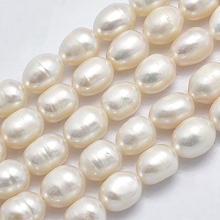 Honeyhandy Natural Cultured Freshwater Pearl Beads Strands, Oval, Beige, 7~8x6~7mm, Hole: 0.8mm, about 46pcs/strand, 14 inch(35.5cm)