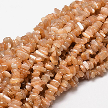 Honeyhandy Natural Sunstone Chip Beads Strands, 5~14x4~10mm, Hole: 1mm, about 15.5 inch~16.1 inch