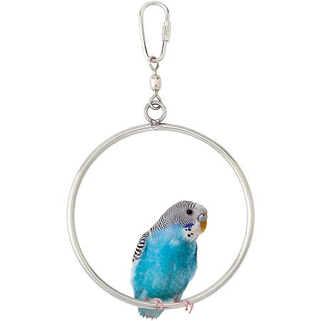 AHANDMAKER Birds Swing Toys, Round Stainless Steel Hanging Bird Swing Toys,Stainless Steel Hanging Swing Toys for Birds Parrots Greys Parakeet Cockatoo Cockatiel Conure Lovebirds Canaries