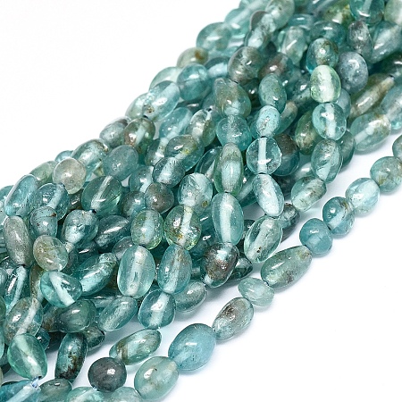 ARRICRAFT Natural Apatite Beads Strands, Chip, 5~8x5~6x4~5mm, Hole: 0.8mm, about 62pcs/Strand, 15.75 inches(40cm)