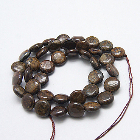Arricraft Natural Bronzite Beads Strands, Flat Round, 12x6mm, Hole: 1mm, about 33pcs/strand, 15.5 inches