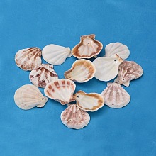 Honeyhandy Natural Scallop Shell Beads, Sea Shell Beads, Dyed, Mixed Color, 32~45x29~42x6~7mm, Hole: 2mm, about 90pcs/500g