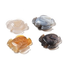 Honeyhandy Natural Brazilian Agate Display Decorations, Sea Turtle, 51~57x12~16x53~57mm