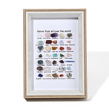 Honeyhandy Natural Gemstones Nuggets Collections, Photo Frame Display Decoration, for Earth Science Teaching, 175x125x30mm, Gemstone: 7~12x5~15mm, 35pcs/box