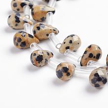 Honeyhandy Natural Dalmatian Jasper Beads Strands, Top Drilled Beads, Teardrop, Faceted, 9x6mm, Hole: 1mm, about 38~44pcs/strand, 16.1 inch~18.1 inch(41~46cm)