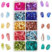 SUPERFINDINGS 120G 10 Colors No Hole Irregular Dyed Shell Beads Natural Chip Beads Beach Theme Beads for Jewelry Making DIY Crafts