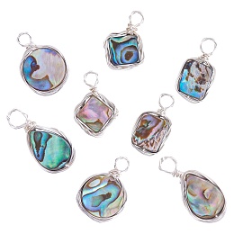 8Pcs 4 Styles Natural Abalone Shell/Paua Shell Pendants, Eco-Friendly Copper Wire Wrapped Shell Charm, Rectangle & Rhombus & Teardrop & Flat Round, Platinum, 18.4~19.7x10.5~15x3.5~4mm, Hole: 2.2~2.4mm, 2pcs/style