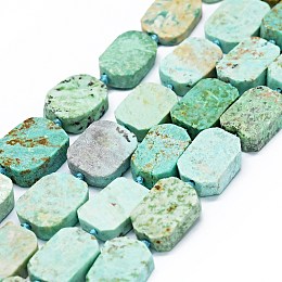 Honeyhandy Natural Peruvian Turquoise(Jasper) Beads Strands, Frosted, Rectangle, 14~17x11~13x5~6mm, Hole: 1mm, about 21~23pcs/strand, 15.75~16.14 inch(40~41cm)