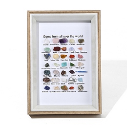 Honeyhandy Natural Gemstones Nuggets Collections, Photo Frame Display Decoration, for Earth Science Teaching, 175x125x30mm, Gemstone: 7~12x5~15mm, 35pcs/box