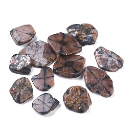 Honeyhandy Natural Chiastolite Cabochons, Andalusite Cabochons, Cross Stone, Nuggets, 25.6~44.5x18~35.5x5~11.5mm