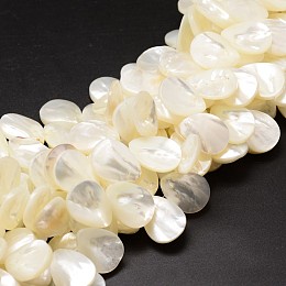 Honeyhandy Natural Trochid Shell/Trochus Shell Beads Strands, Top Drilled Beads, Teardrop, Creamy White, 20x15x3~4mm, Hole: 1mm about 40pcs/strand, 15.75 inch