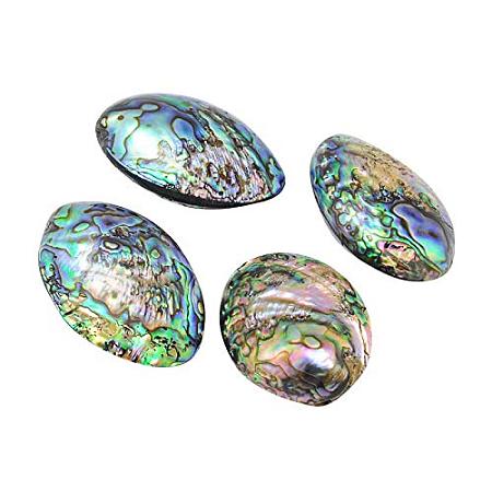 ARRICRAFT 5pcs Oval Paua Shell Beads Craft Charms for Candle Making, Home Decoration, Beach Theme Party Wedding Decor, Fish Tank and Vase Fille, Colorful