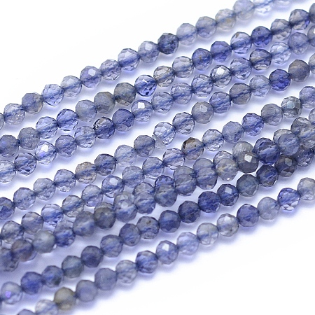 Honeyhandy Natural Iolite Beads Strands, Faceted, Round, 2.5mm, Hole: 0.6mm, about 160pcs/strand, 15.75 inch(40cm)