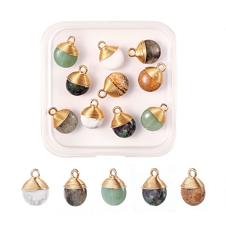Arricraft 10Pcs/Box 5 Styles Natural Gemstone Pendants, with Golden Tone Brass Wires and Iron Loops, Half Drilled, Flat Round, 14x10x5mm, Hole: 2mm, 2pcs/style