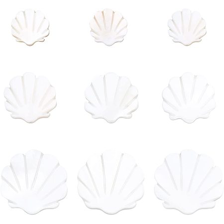 BENECREAT 30PCS 3 Sizes Natural Scallop Shell Beads Beach Sea Shell Beads for DIY Earrings Necklaces Bracelet Jewelry Making Accessories