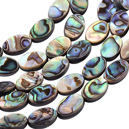 BENECREAT 30 Packs Natural Abalone Shell Oval Abalone Shell Beads with Storage Containers for DIY Jewelry Making, 12x8x3mm