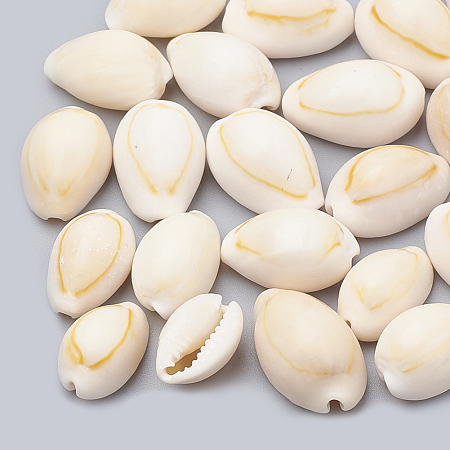 ARRICRAFT Cowrie Shell Beads, Seashell Color, 12~17x8~11x6~9mm, about 1000pcs/500g