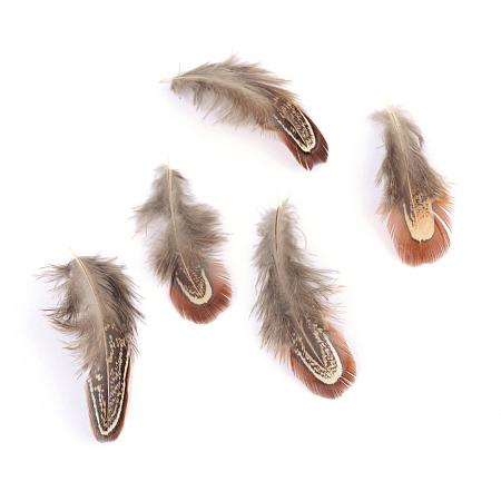 Honeyhandy Chicken Feather Costume Accessories, Dyed, Brown, 40~80x10~20mm