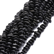 Honeyhandy Natural Shungite Stone Beads Strands, Nuggets, 8~11x9~14x1.5~5mm, Hole: 0.8mm, about 74pcs/strand, 15.55''(39.5cm)