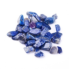 Natural Lapis Lazuli Beads, Undrilled/No Hole, Chips, 6~24x5~12x3~9mm, about 100g/bag