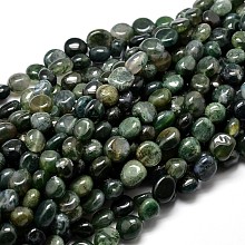 Honeyhandy Natural Moss Agate Nuggets Beads Strands, Tumbled Stone, 4~8x6~9x5~7mm, Hole: 1mm, about 15.3 inch~15.7 inch