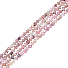 Nbeads 2 Strands Natural Rhodonite Beads Strands, Faceted Round, 3mm, Hole: 0.8mm, about 123pcs/strand, 15''(38.1cm)