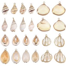 SUNNYCLUE 1 Box 24Pcs 6 Style Electroplate Spiral Seashells Craft Charms Connectors Pendant Conch Shells Charms with Plated Golden Loop Bail for Bracelet Necklace Making Craft Supplies