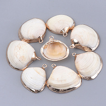 Honeyhandy Electroplate Shell Pendants, with Iron Findings, Golden, Seashell Color, 19~40x17~42x5~15mm, Hole: 1.5~1.8mm