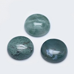 Honeyhandy Natural Moss Agate Cabochons, Half Round, 19.5~20x6~7mm