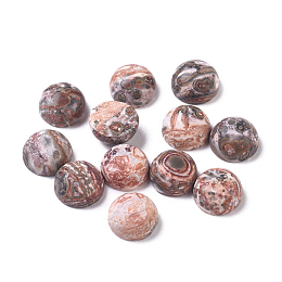 Honeyhandy Natural Leopard Skin Jasper Cabochons, Half Round/Dome, 8x4mm