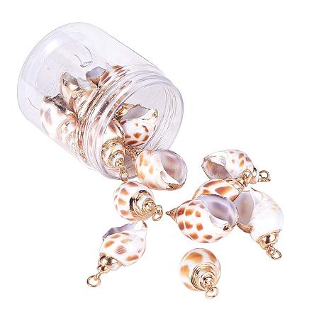 PH PandaHall 15pcs Spiral Shell Pendants Electroplate Conch Shell Jewelry Charms Ocean Beach Sea Shell Dangle Beads for Nautical Ocean Summer Jewelry Craft Making Home Decor