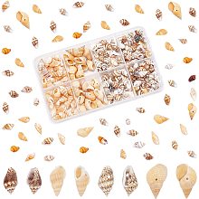 PandaHall Elite 260pcs Sea Shells, 4 Styles Ocean Spiral Seashells Tiny Beach Conch Shells Marine Life Seashells for Beach Theme Party, Beach Fairy Garden, Candle Making, Wedding Decor, Fish Tank