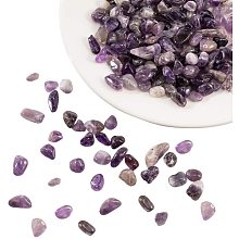 NBEADS 200g Undrilled Natural Amethyst Chips, No Hole Irregular Natural Amethyst Stone Beads Loose Amethyst Gemstone Chips for Jewelry Making