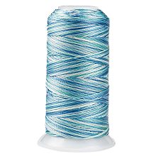 Honeyhandy Segment Dyed Round Polyester Sewing Thread, for Hand & Machine Sewing, Tassel Embroidery, Sky Blue, 12-Ply, 0.8mm, about 300m/roll