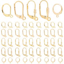 DICOSMETIC 50Pcs 5 Style Stainless Steel Interchangeable Leverback Earring Findings French Hook Ear Wire with Open Loop Hypoallergenic Earring Hooks for DIY Jewelry Making Craft