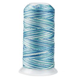 Honeyhandy Segment Dyed Round Polyester Sewing Thread, for Hand & Machine Sewing, Tassel Embroidery, Sky Blue, 12-Ply, 0.8mm, about 300m/roll