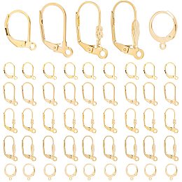 DICOSMETIC 50Pcs 5 Style Stainless Steel Interchangeable Leverback Earring Findings French Hook Ear Wire with Open Loop Hypoallergenic Earring Hooks for DIY Jewelry Making Craft