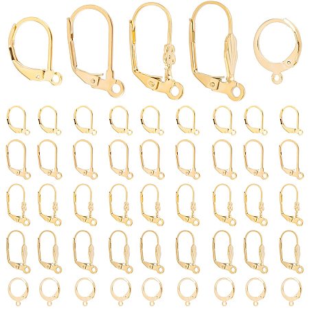 DICOSMETIC 50Pcs 5 Style Stainless Steel Interchangeable Leverback Earring Findings French Hook Ear Wire with Open Loop Hypoallergenic Earring Hooks for DIY Jewelry Making Craft